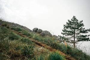 BIB: 
                            <button type="button" onclick="openModal(25992941)" class="btn btn-primary btn-sm float-right btn-popup" data-toggle="modal" data-target=".modal-high-quality">
                        <i class="fas fa-shopping-cart"></i> Add to Cart
                    </button>
                                            <button type="button" onclick="isThisMe(25992941, true)" class="btn btn-success btn-sm float-right btn-popup btn-isme hidden" data-toggle="tooltip" data-placement="bottom" title="นี่คือรูปของคุณใช่ไหม คลิกที่นี่เพื่อเอาเข้าอัลบั้ม">
                        <i class="fas fa-plus"></i> Add to album
                    </button>
                    <button type="button" onclick="isThisMe(25992941, false)" class="btn btn-warning btn-sm float-right btn-popup btn-isnotme hidden">
                        <i class="fas fa-ban"></i> Remove from album
                    </button>